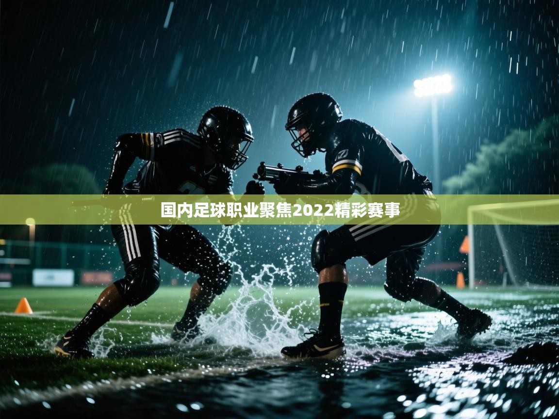 开云体育苹果版下载-国内足球职业聚焦2022精彩赛事