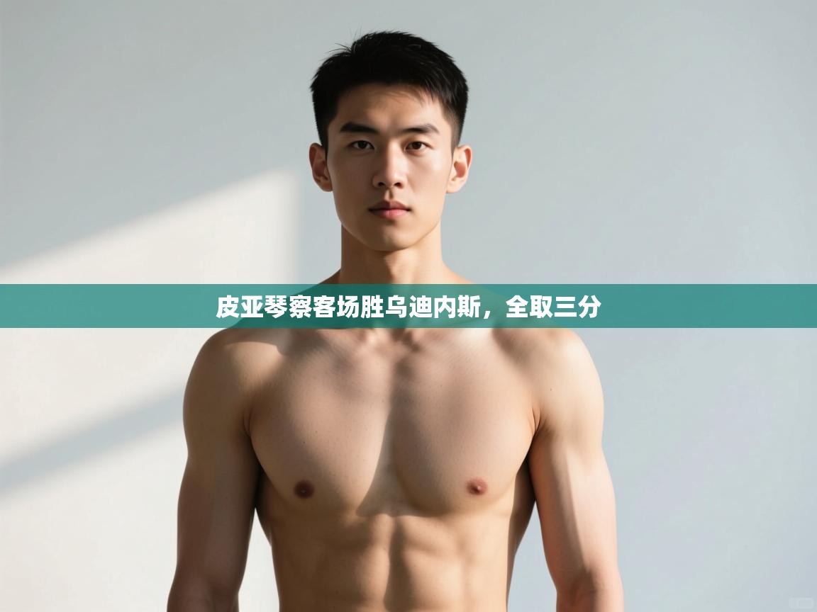 开云手机版-皮亚琴察客场胜乌迪内斯,全取三分 第4张