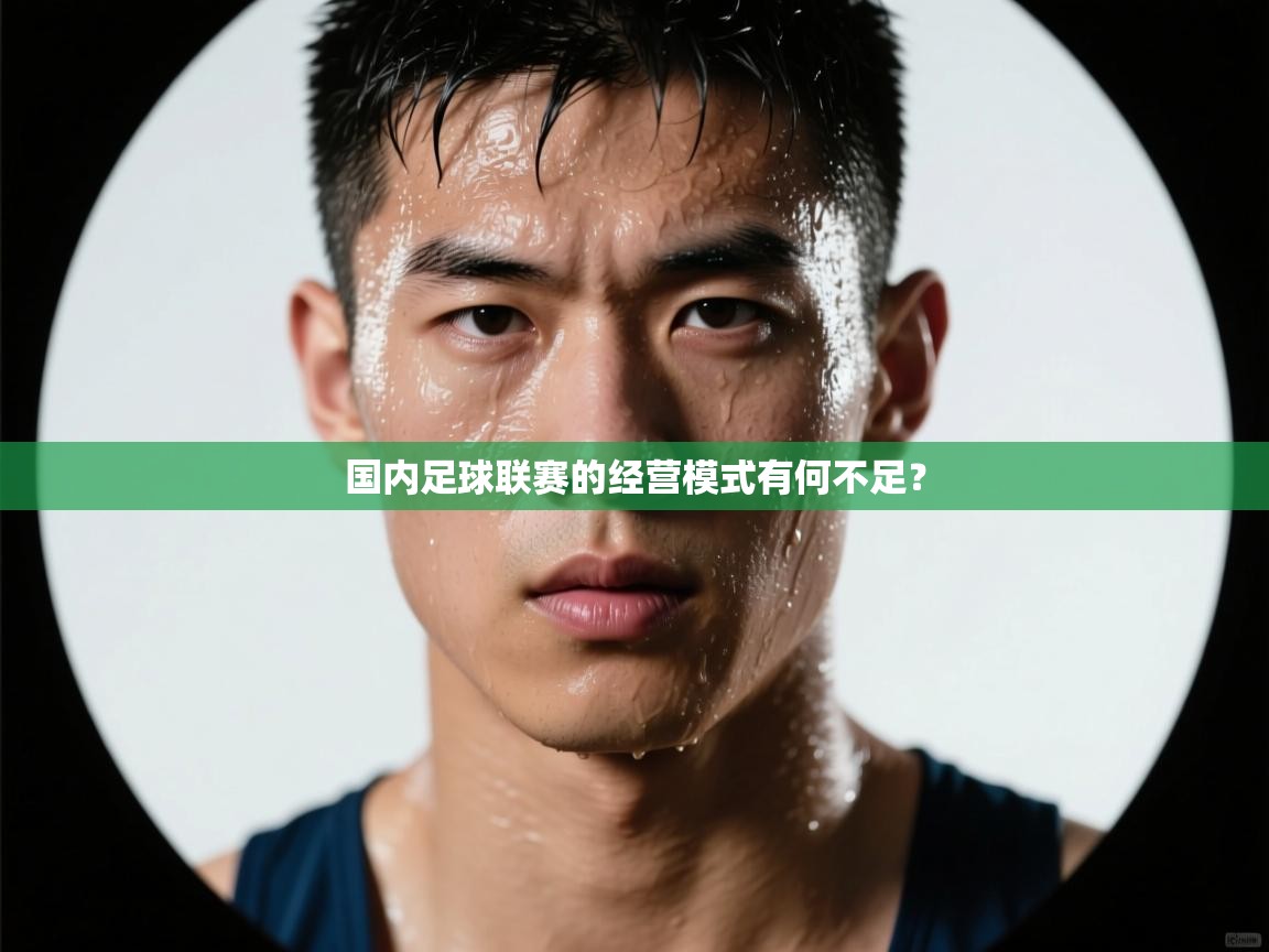 云开官网-国内足球联赛的经营模式有何不足？  第3张