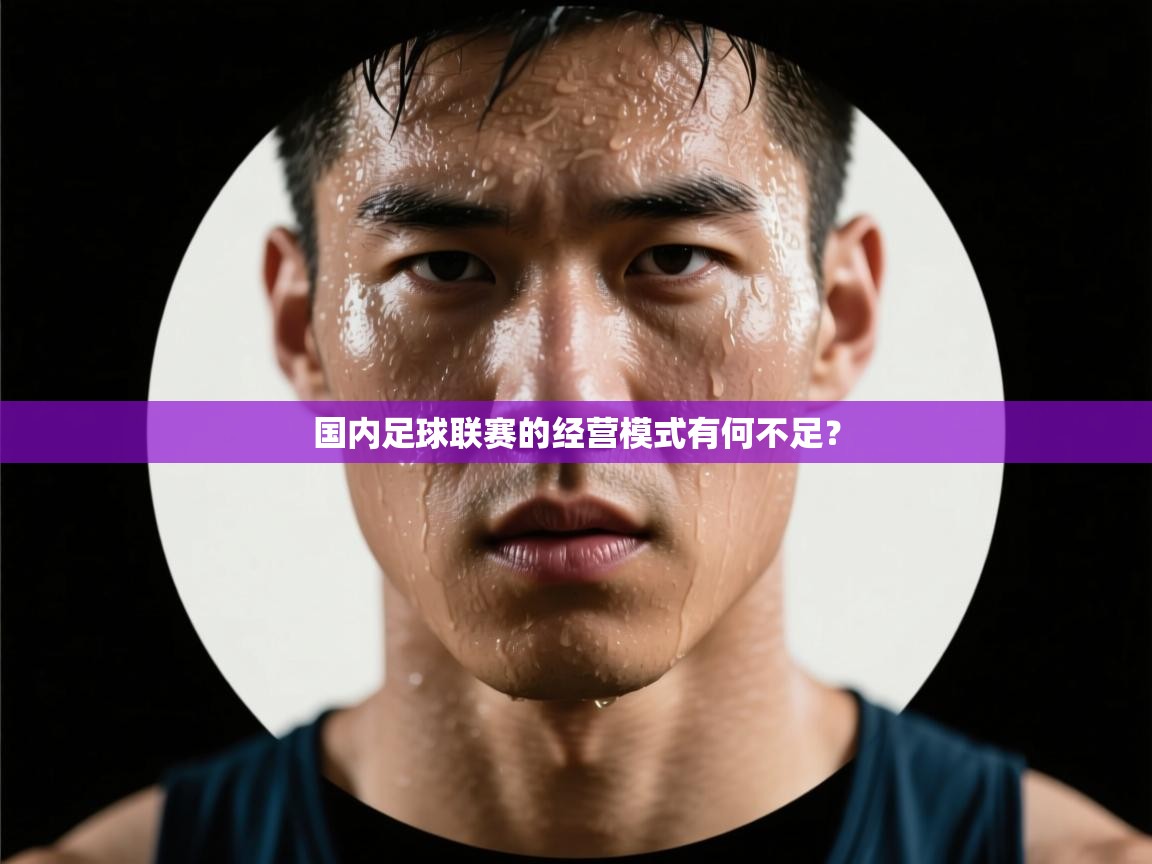 云开官网-国内足球联赛的经营模式有何不足？  第4张