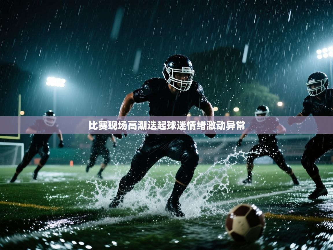 开云体育下载-比赛现场高潮迭起球迷情绪激动异常  第1张