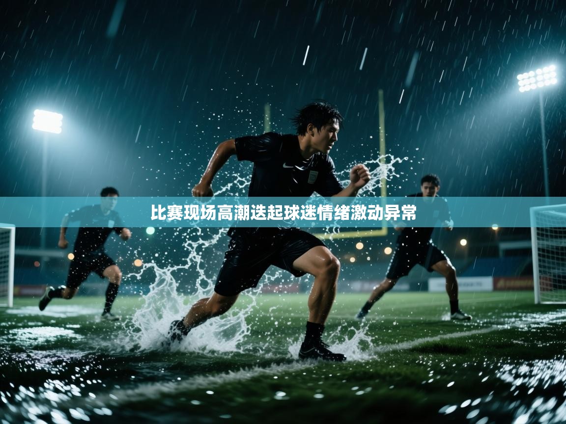 开云体育下载-比赛现场高潮迭起球迷情绪激动异常  第3张