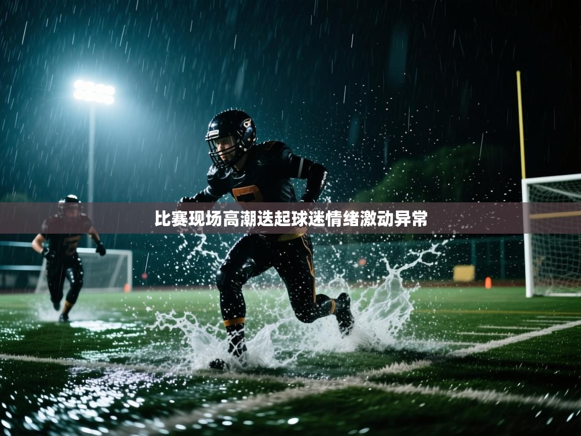 开云体育下载-比赛现场高潮迭起球迷情绪激动异常  第4张