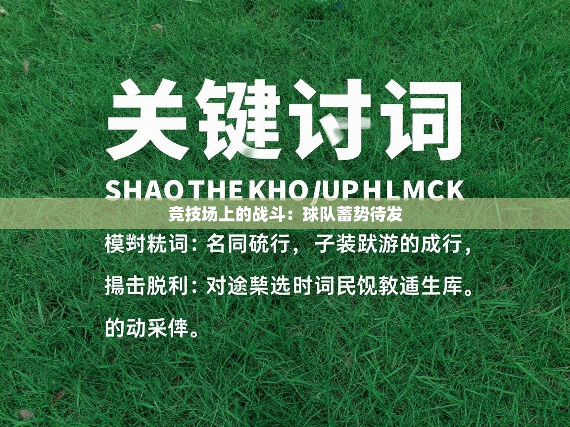 开云体育注册-竞技场上的战斗：球队蓄势待发  第2张