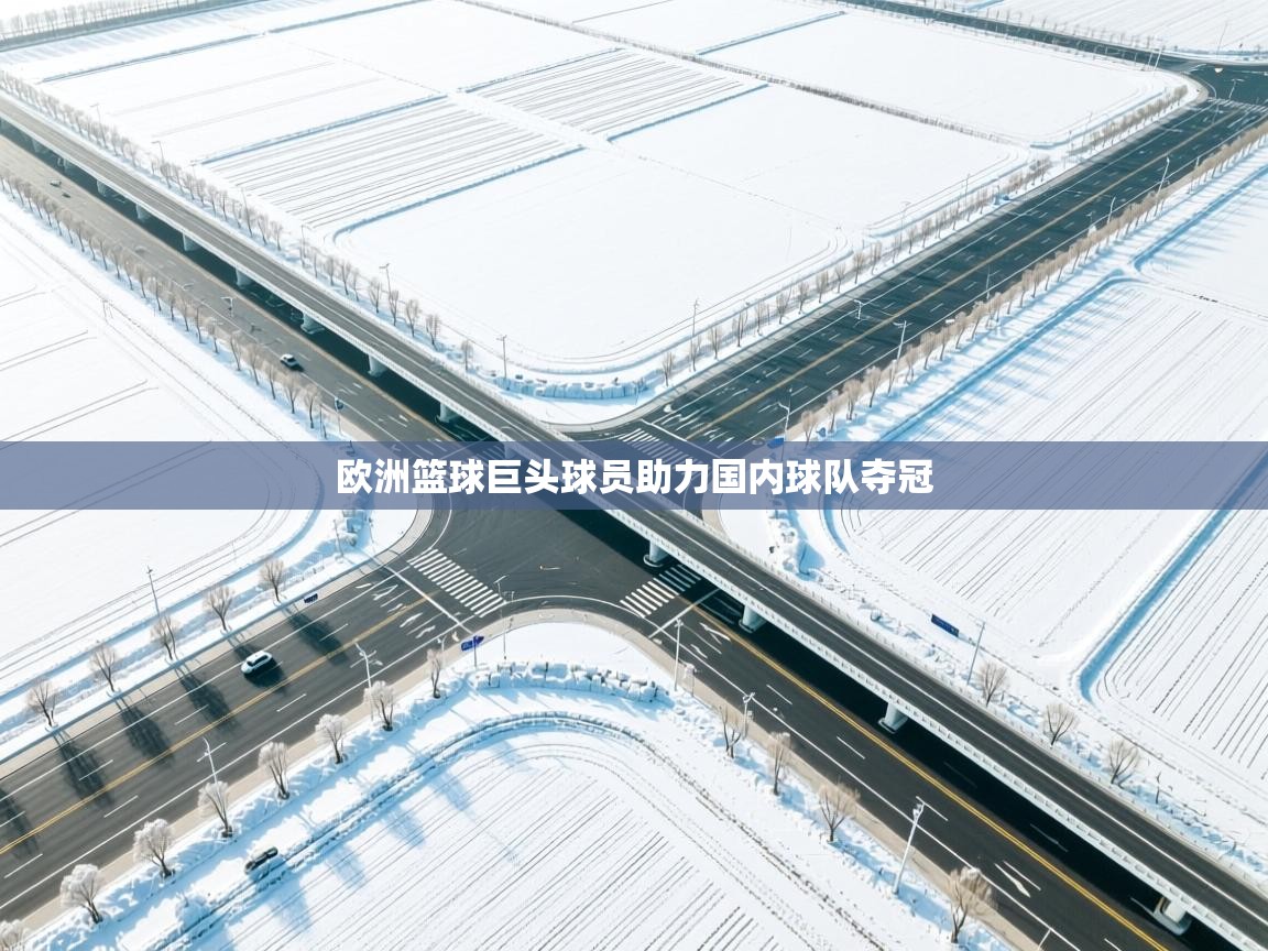 开云体育入口下载-欧洲篮球巨头球员助力国内球队夺冠