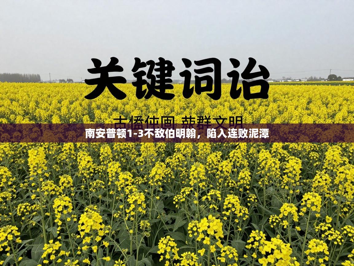 开云体育app下载地址-南安普顿1-3不敌伯明翰，陷入连败泥潭  第1张