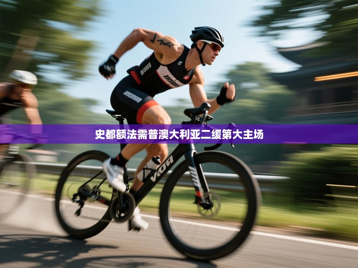 开云体育app官网入口-史都额法需普澳大利亚二缓第大主场  第3张