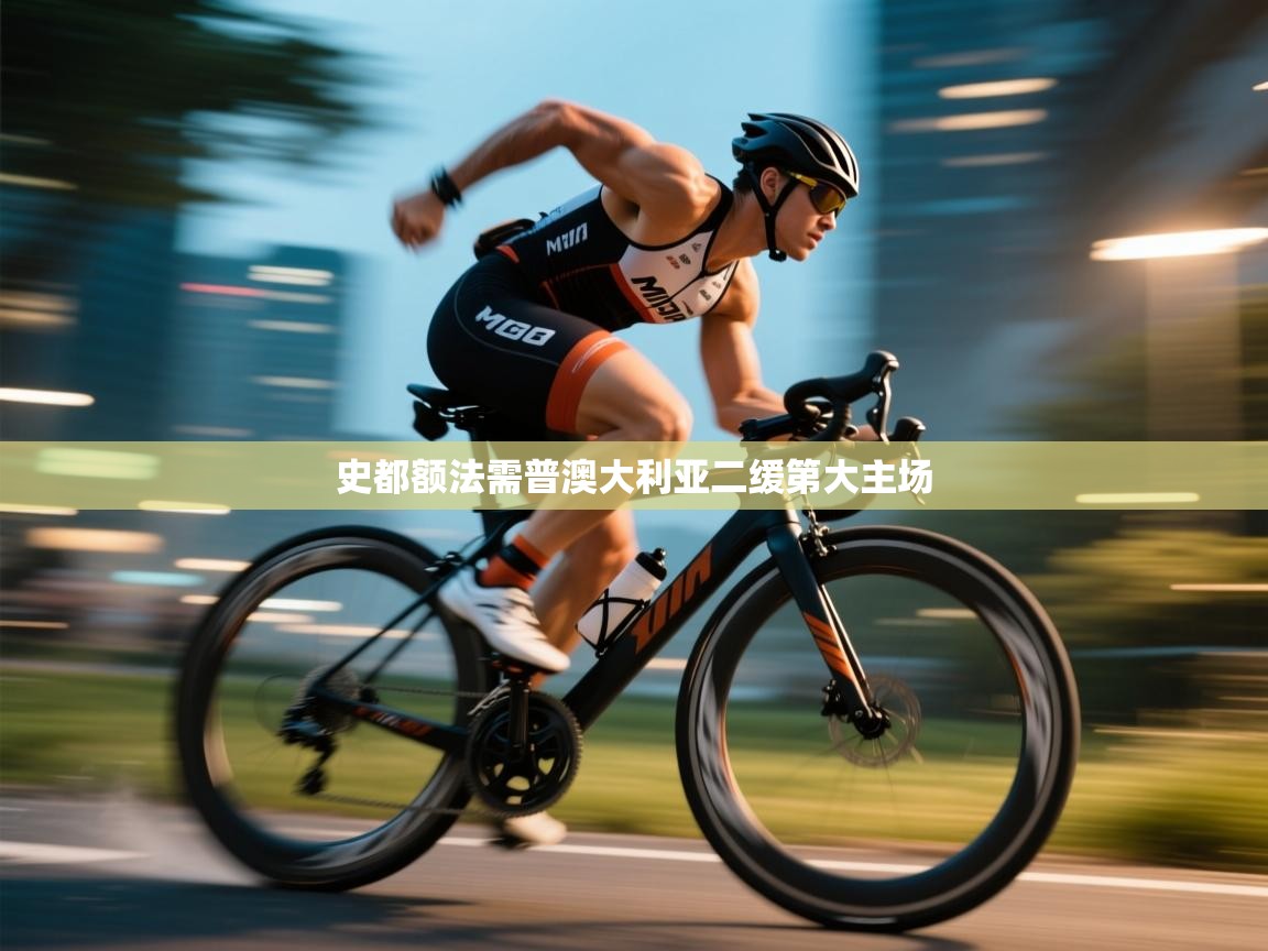 开云体育app官网入口-史都额法需普澳大利亚二缓第大主场  第4张